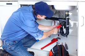 Best Garbage Disposal Repair and Installation  in Friday Harbor, WA